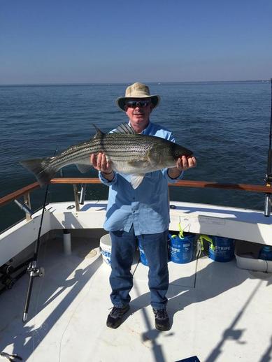 Maryland Fishing Charters for Trophy Striped Bass/Rockfish Kent Island-Annapolis. ​Chasin Tail Charters 410-320-6254