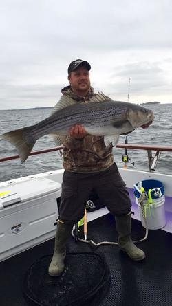 Huge Striped Bass-Maryland Fishing Charters for Trophy Striped Bass/Rockfish Kent Island-Annapolis. ​Chasin Tail Charters 