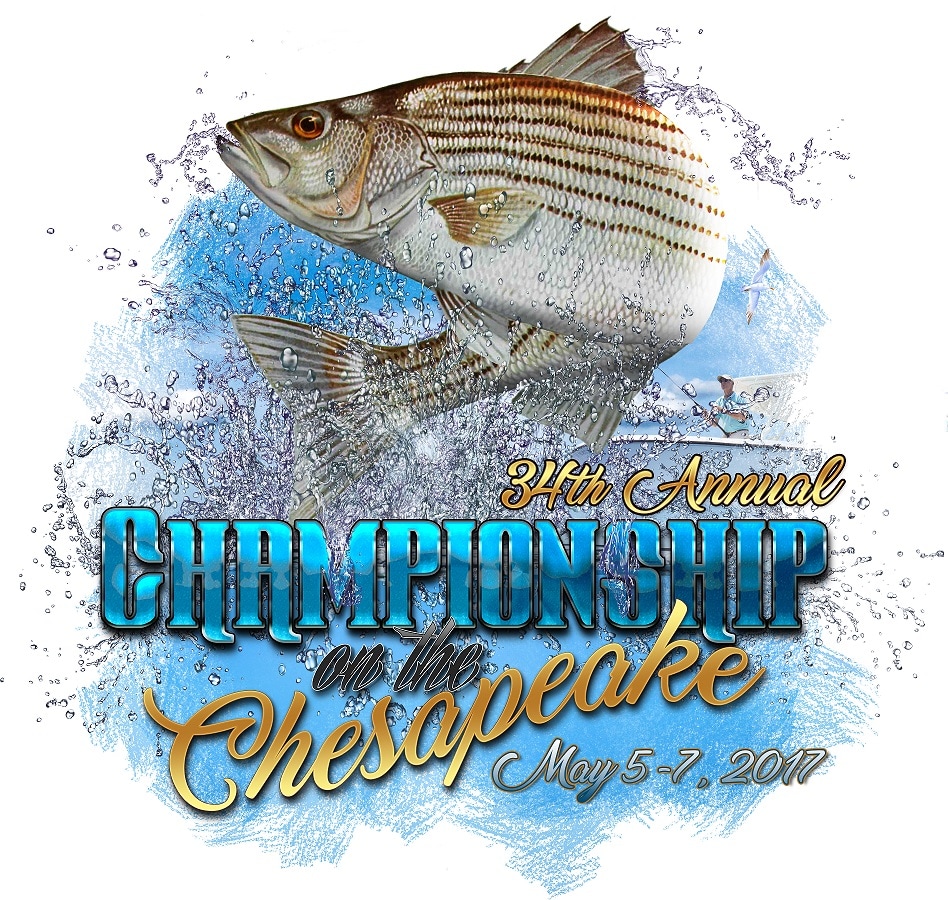 Maryland Fishing Charters for Trophy Striped Bass/Rockfish Kent Island-Annapolis. ​Chasin Tail Charters 410-320-6254